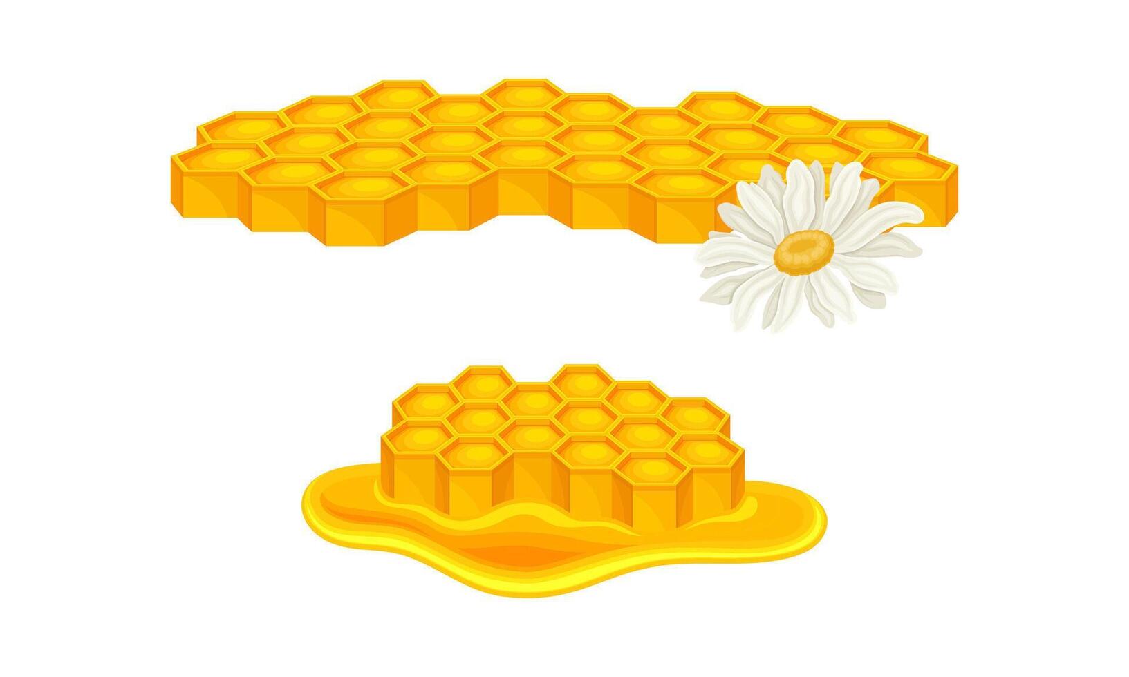 Beekeeping and honey production set. Honeycomb slices with liquid honey, apiculture product illustration vector