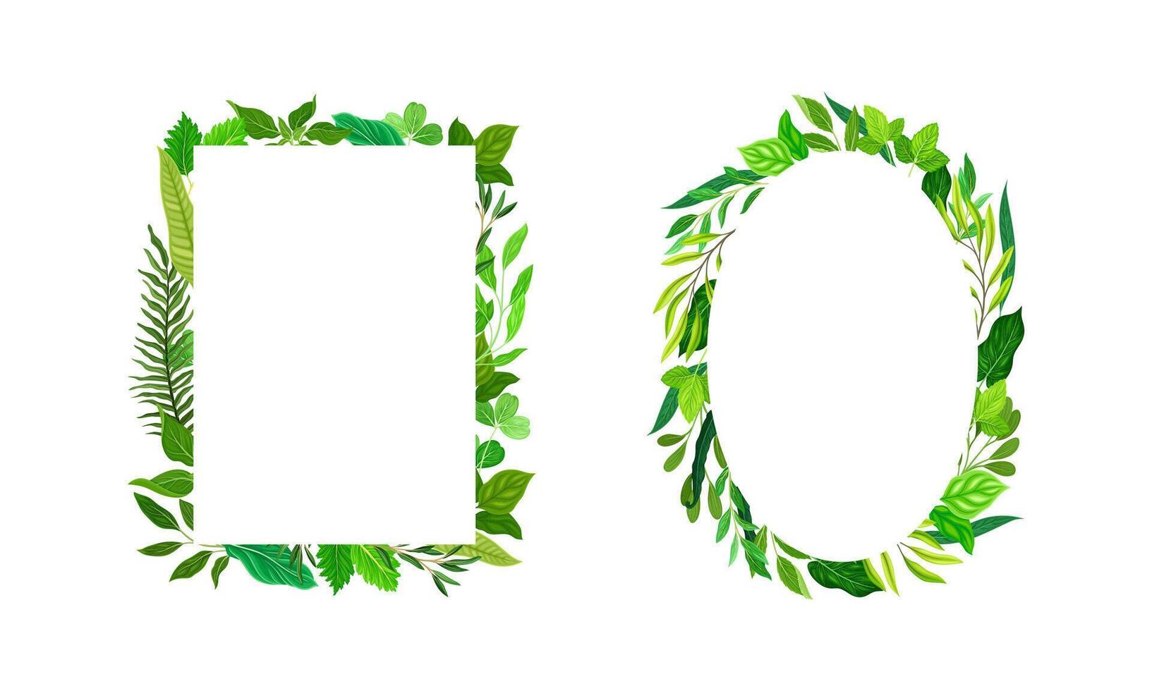 Collection of frames made of leaves. Green elegant natural borders of rectangular and oval shape with copy space illustration vector