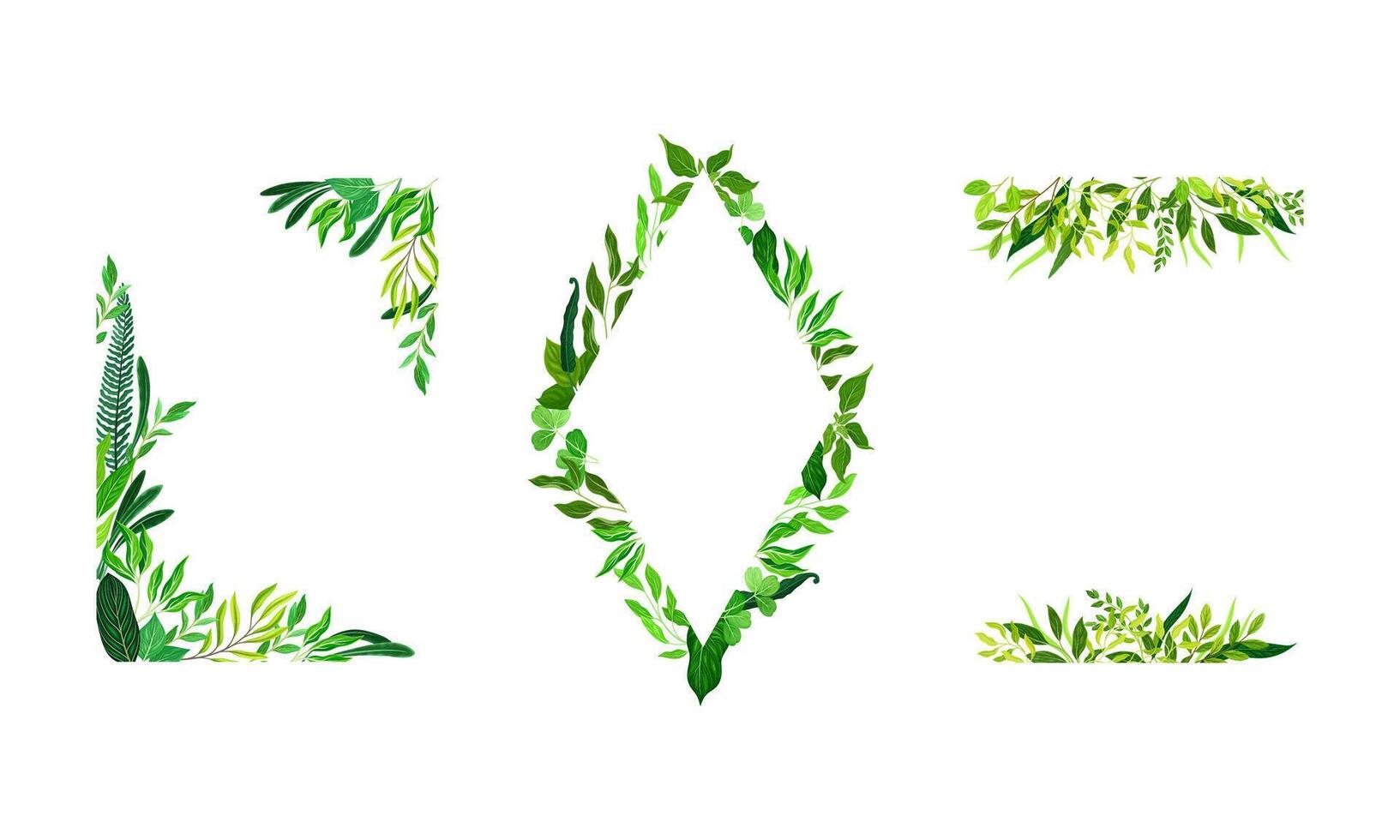Collection of borders made of leaves. Green elegant frames with copy space illustration vector