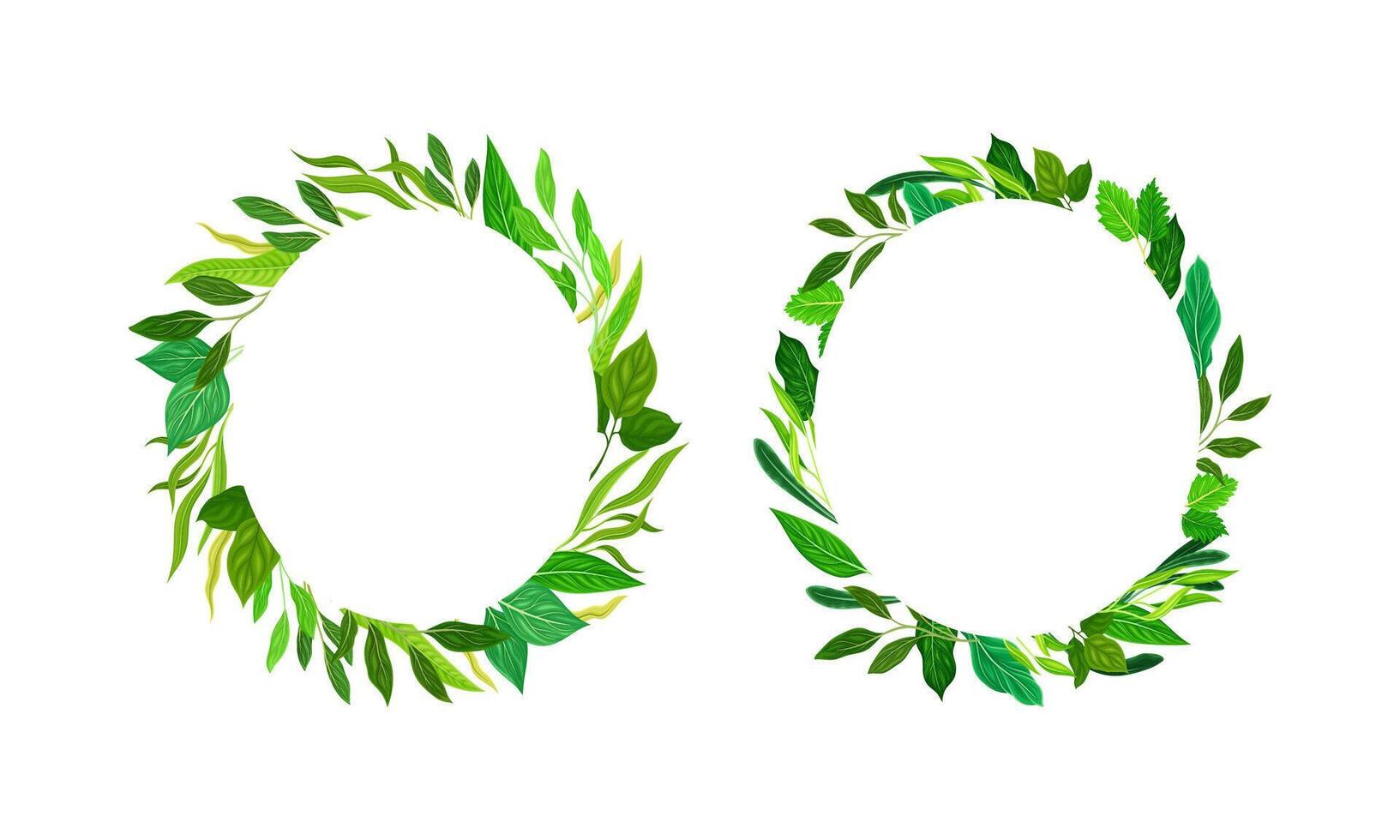 Collection of round frames made of leaves. Green elegant natural borders with copy space, organic decor element illustration vector