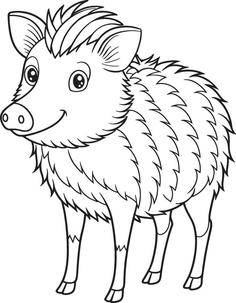 Cute wild Peccary coloring page for kids activity book vector