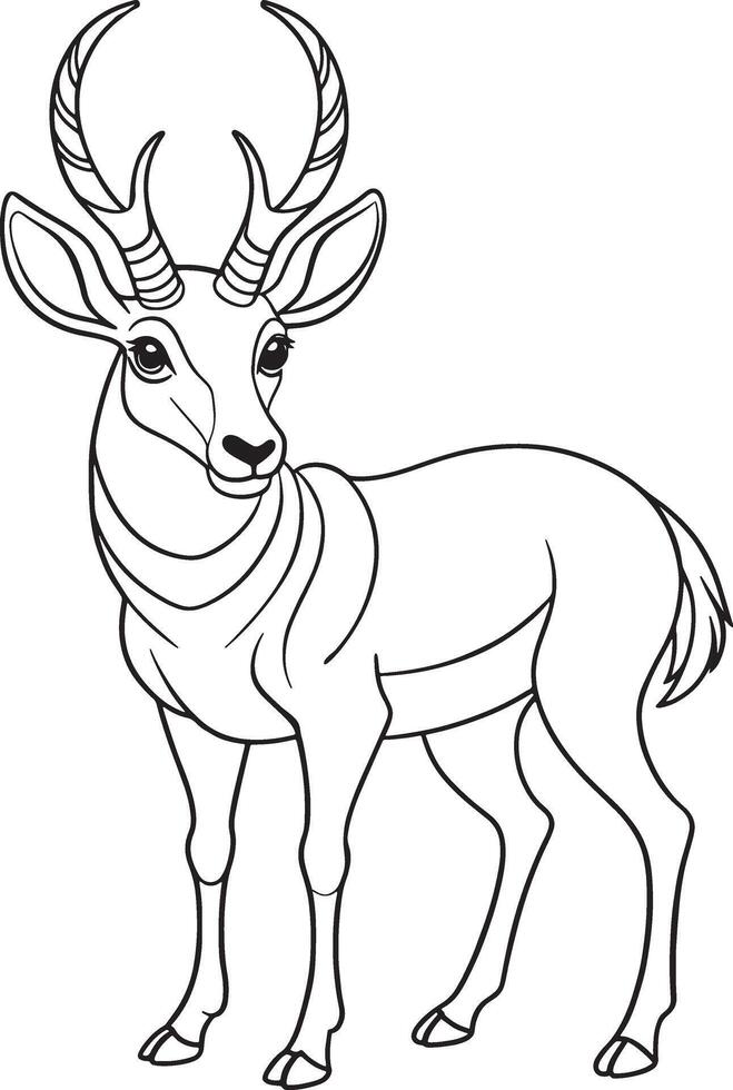 Pronghorn Line Art Illustration for Coloring Books and Designs vector