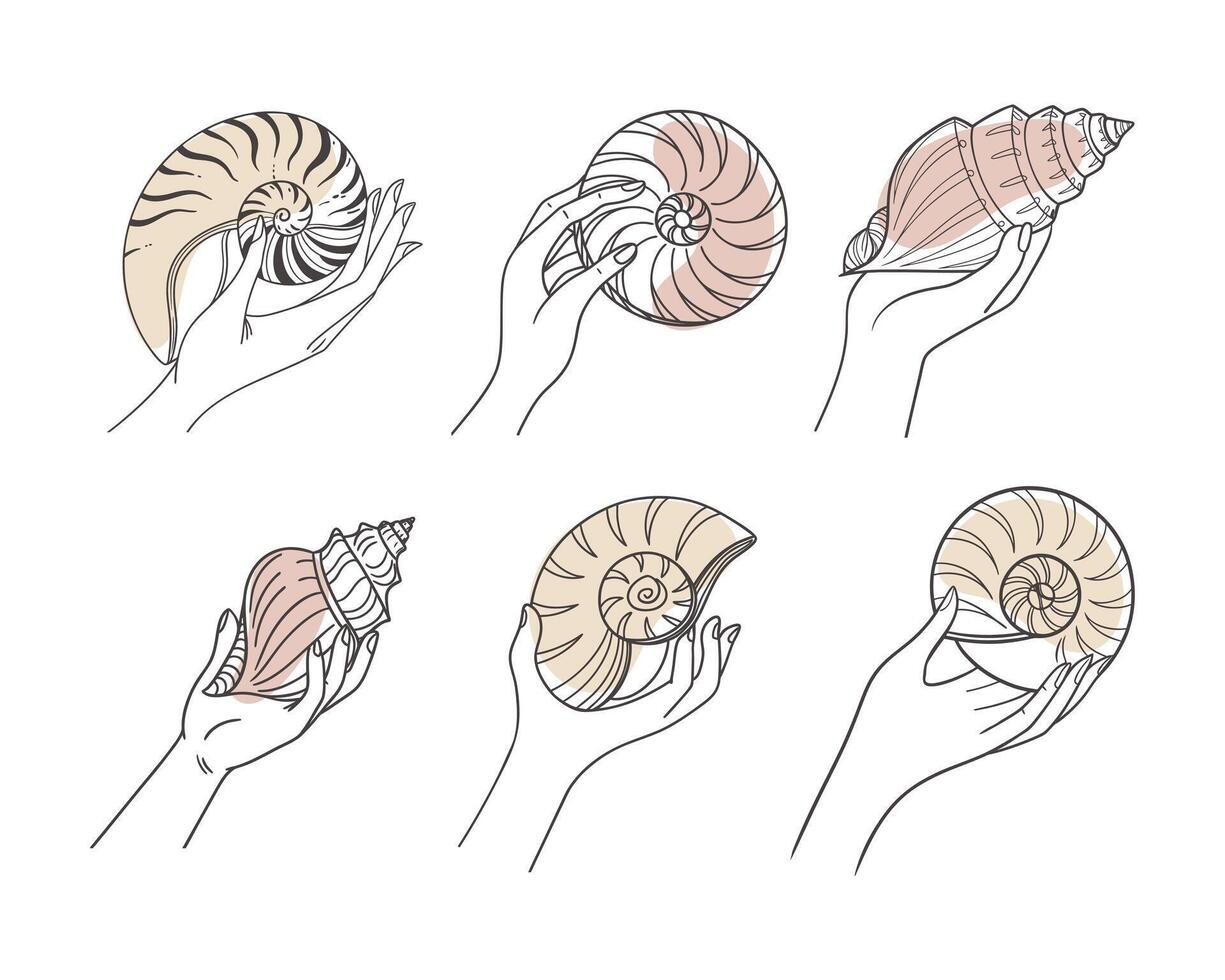 Set of hand drawn seashells in hands. Hands holding seashells. Outline sketch illustration. vector