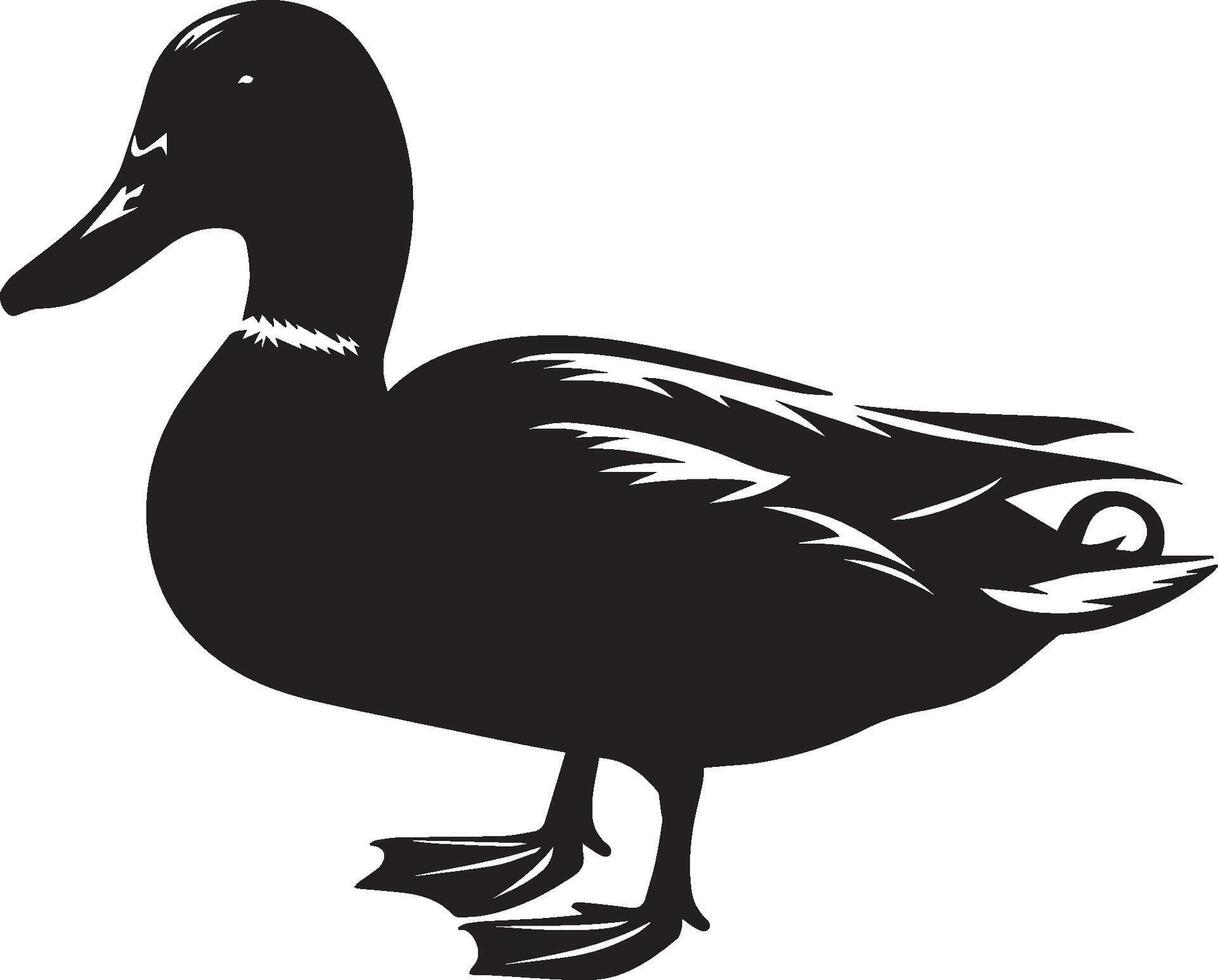 the Mallard duck silhouette illustration vector