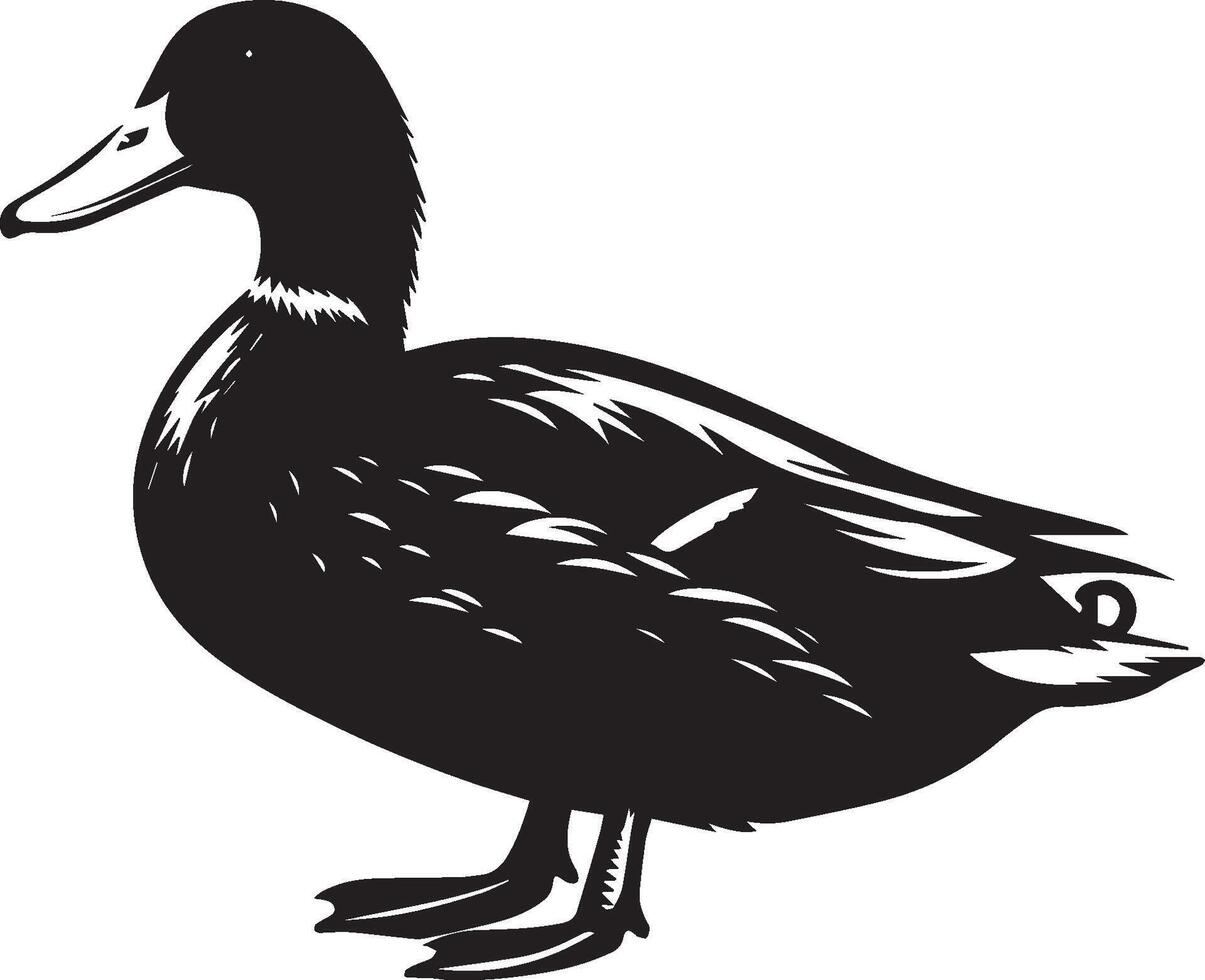 Beauty Mallard duck silhouette illustration vector