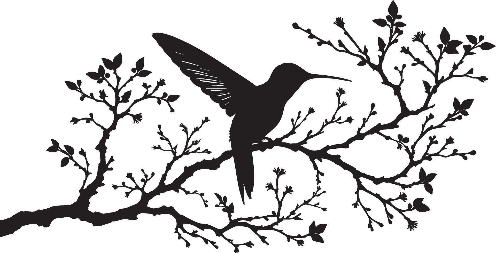 beautiful Hummingbird silhouette on blooming branch vector