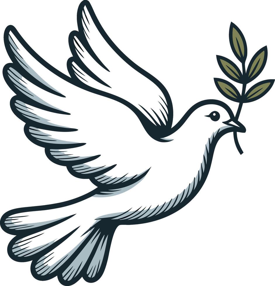 A white dove with an olive branch in its beak vector