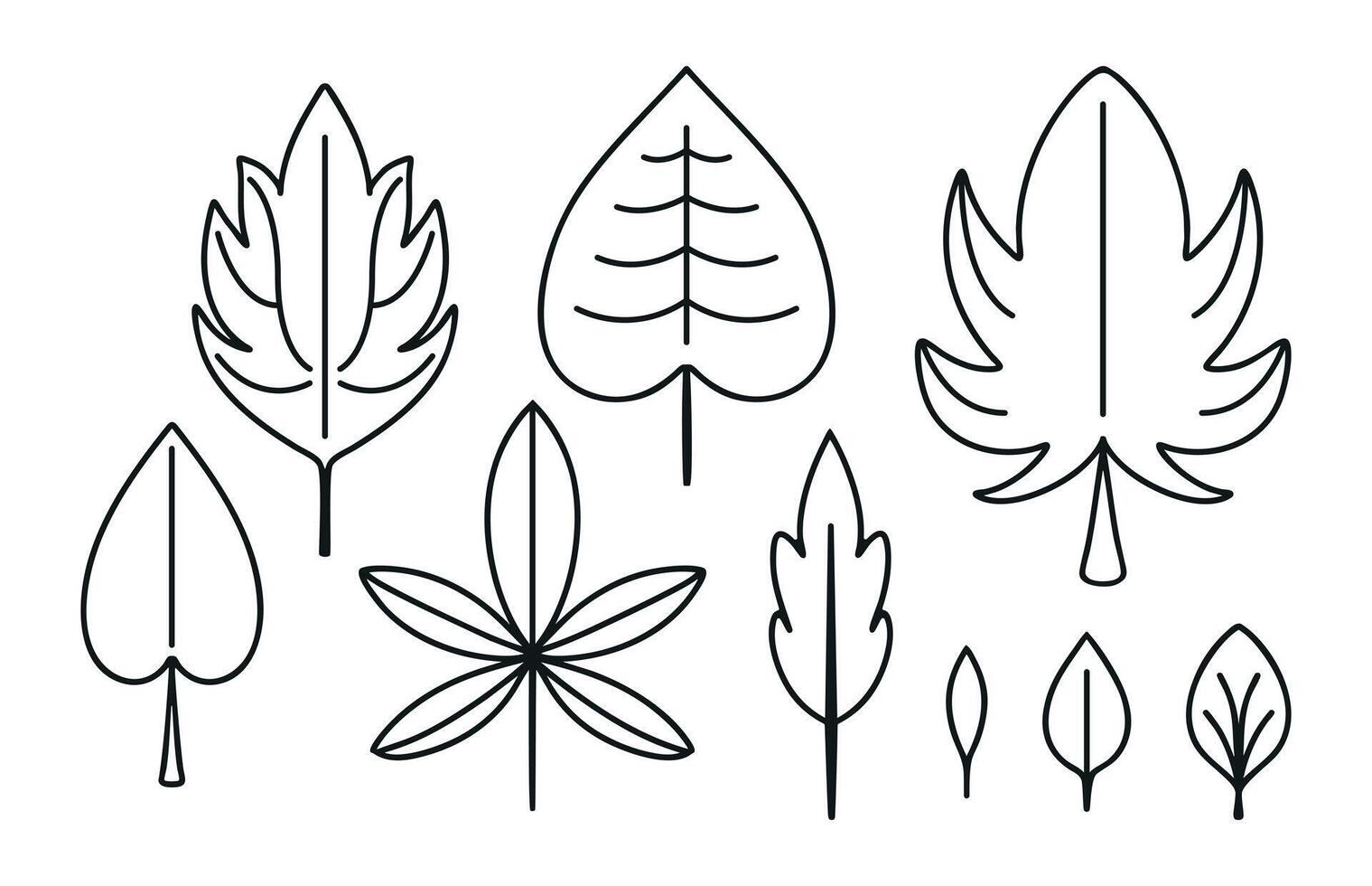 Set of Contour Leaves. Collection of outline symmetrical element of different trees - oak, maple. Coloring Foliage. Nature Icons, plant. Linear organic, natural botany. Isolated. illustration. vector