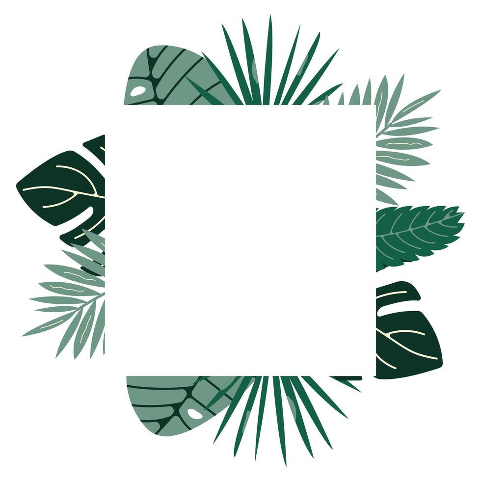 Minimal tropical green square frame for organic product labels or eco packaging. illustration vector