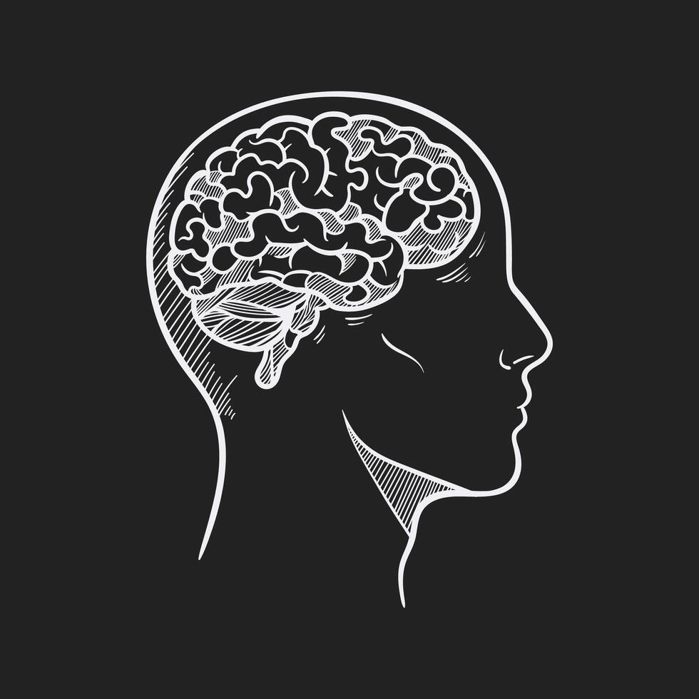 Simple drawing of the human brain within a head vector