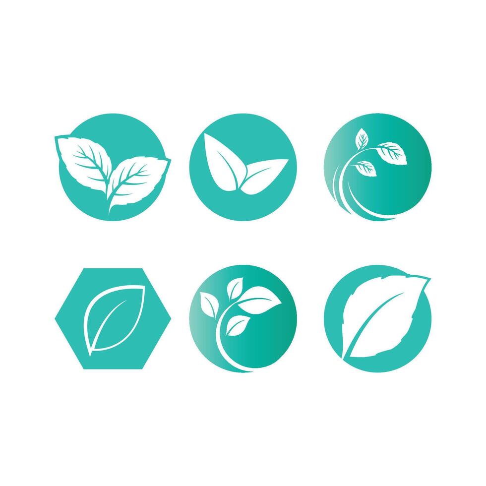 Set Mint leaf logo element template and symbol vector