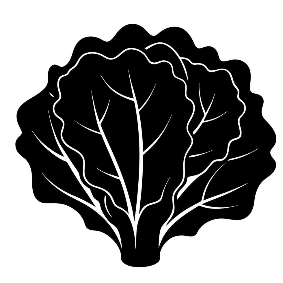Lettuce leaf graphic isolated on white background vector