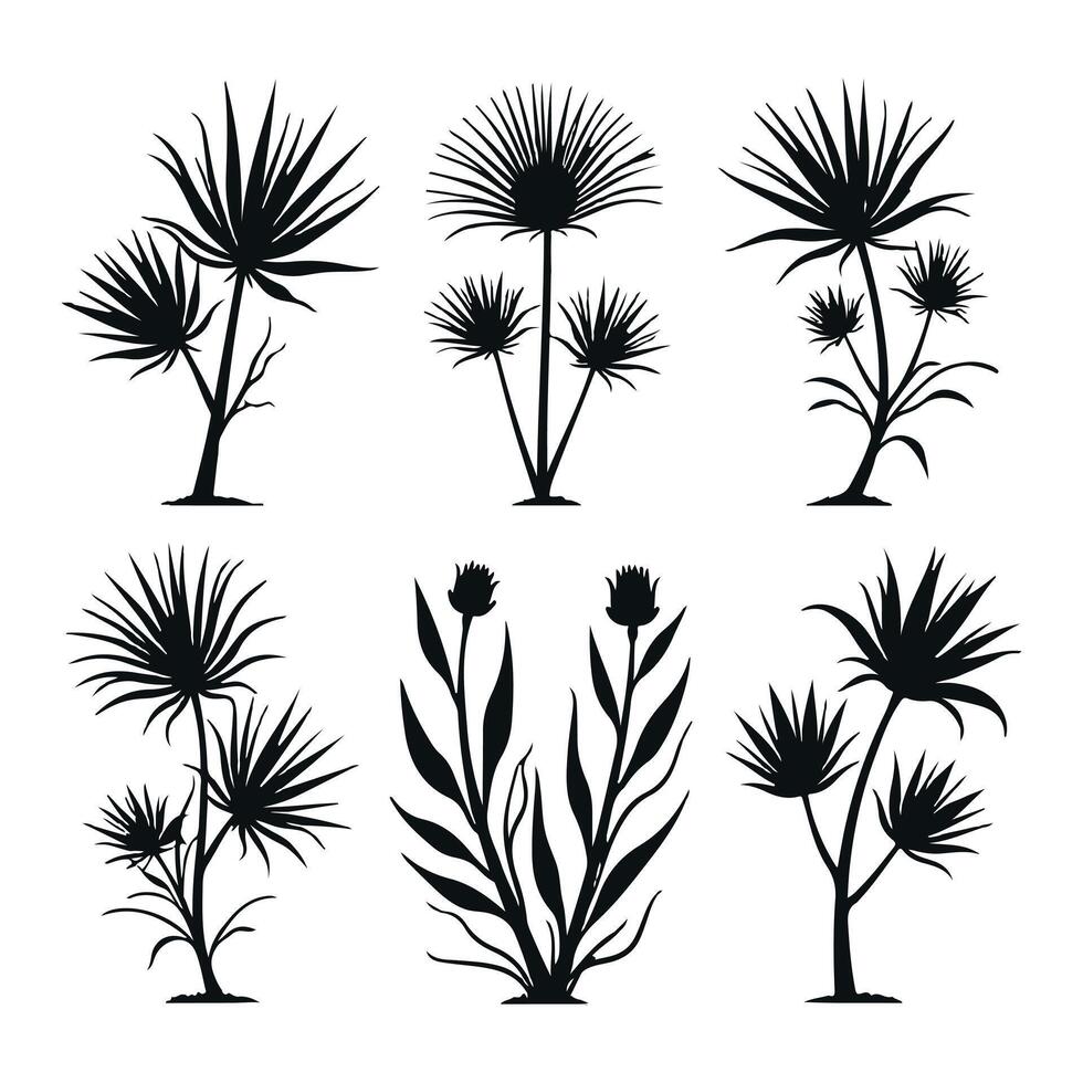 Maguey Plant Vectors