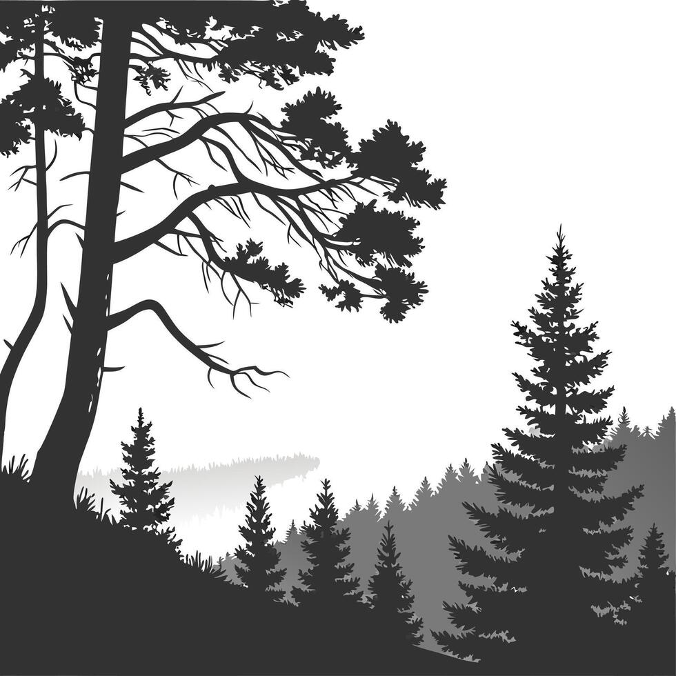 Majestic pine forest silhouette with towering trees, dense foliage, and a serene, foggy backdrop evoking a sense of tranquil wilderness illustration vector