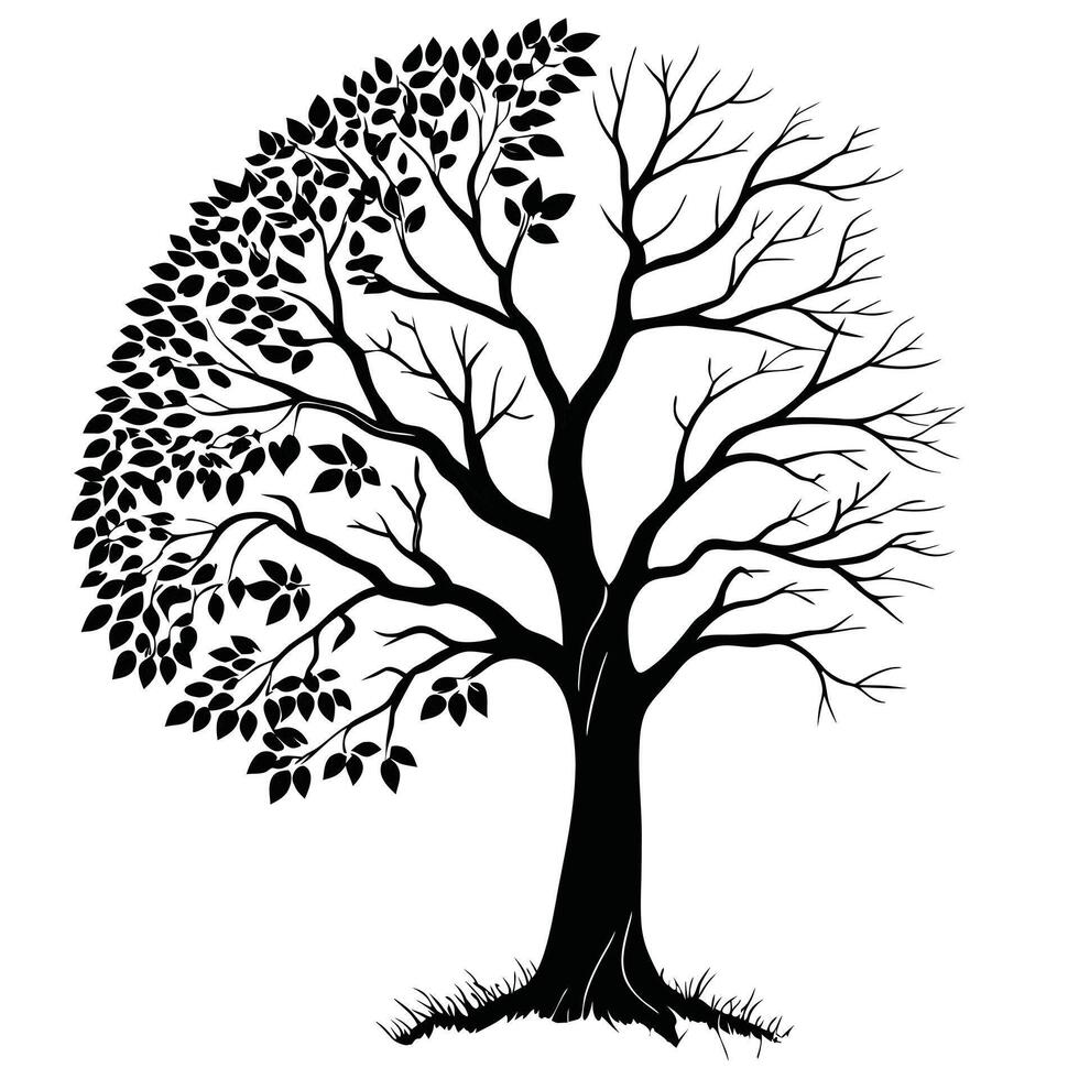 Black and white silhouette of a tree with half its branches bare and the other half lush with leaves, symbolizing the cycle of life and nature's duality illustration vector