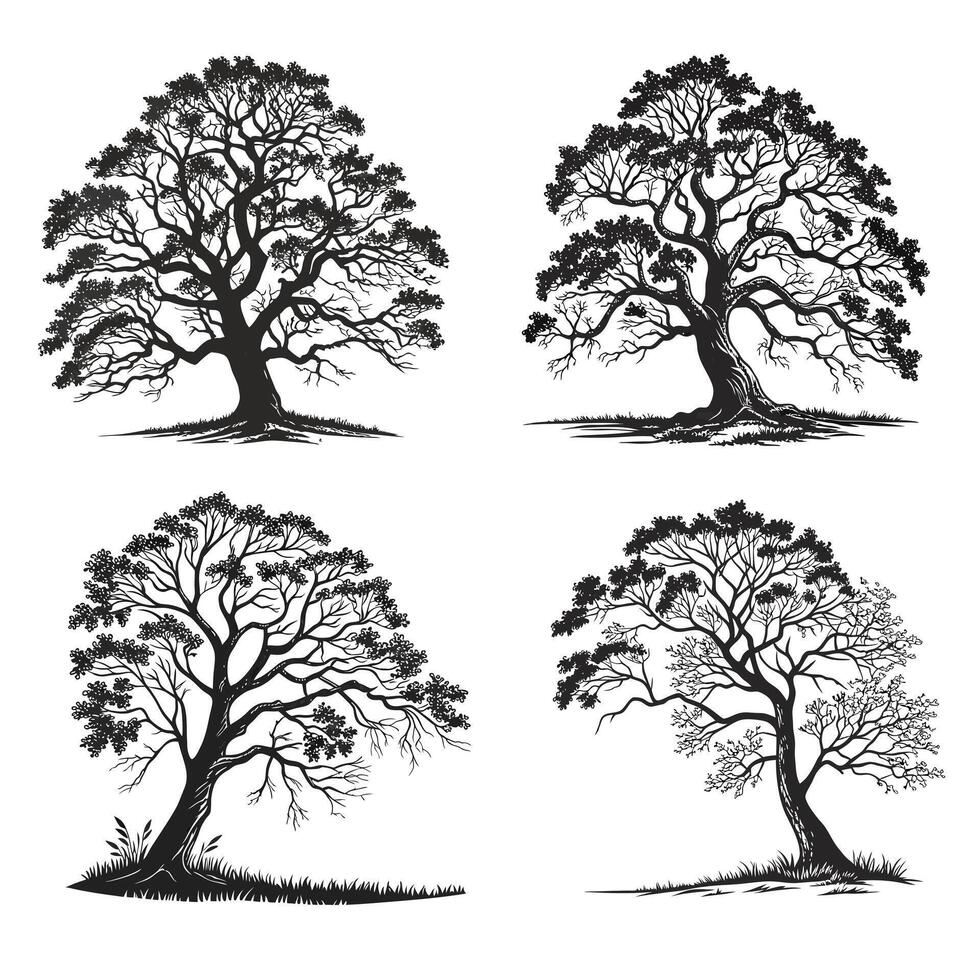 Four detailed black and white tree silhouettes with intricate branches and roots, showcasing different angles and perspectives, perfect for design elements illustration vector