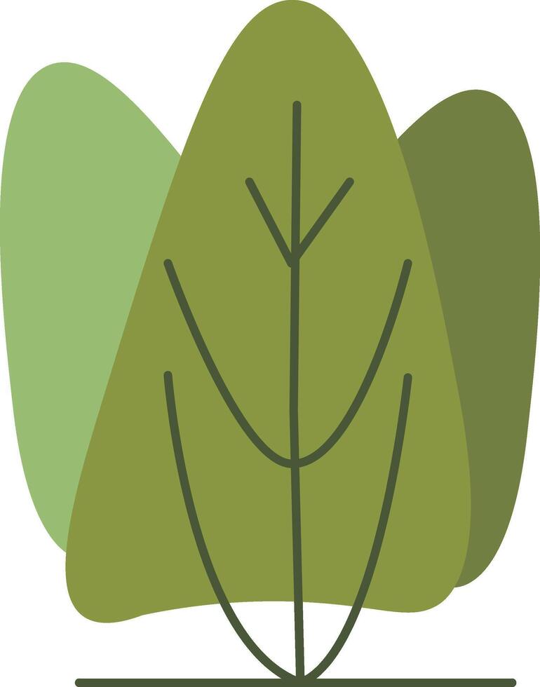 Broad Leafy Plant vector