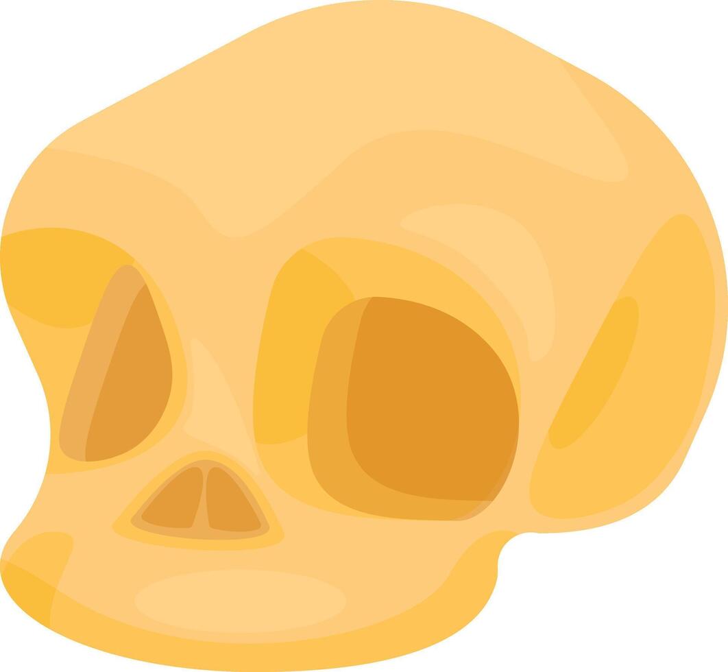 Human Skull Bone vector