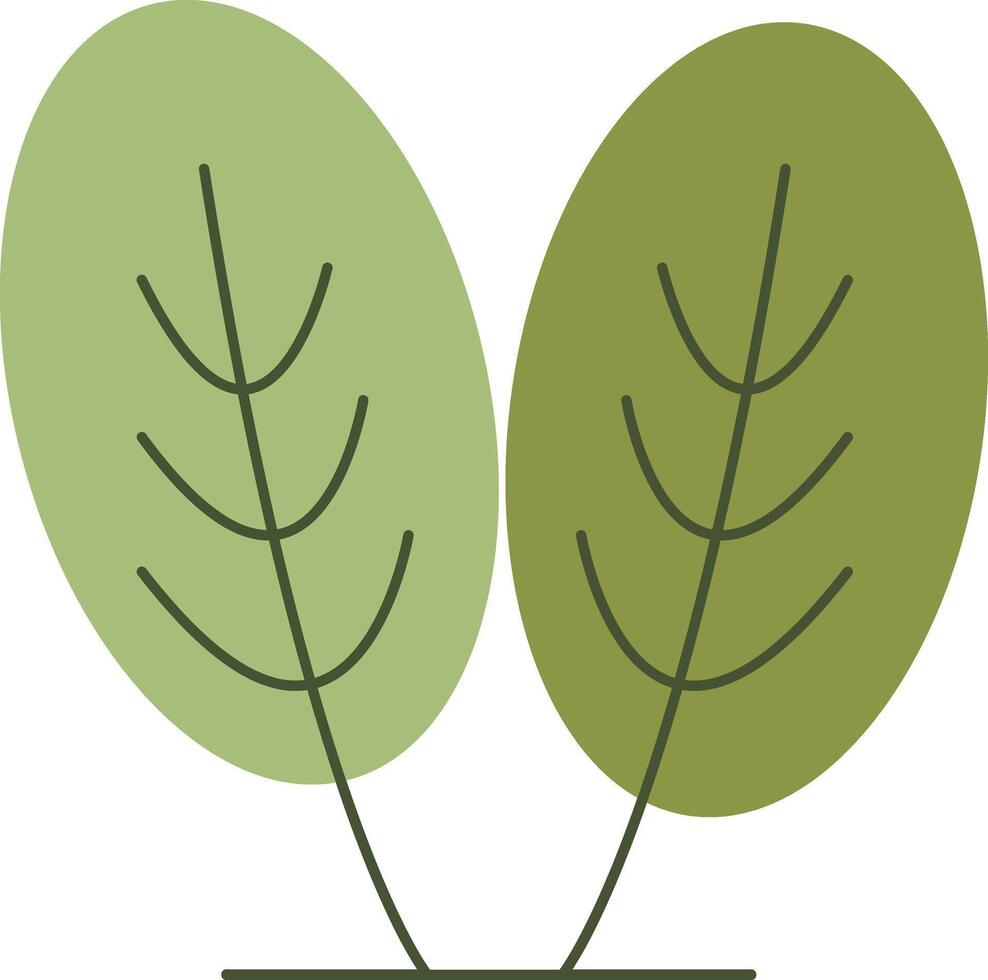 Oval Leaf Tree vector
