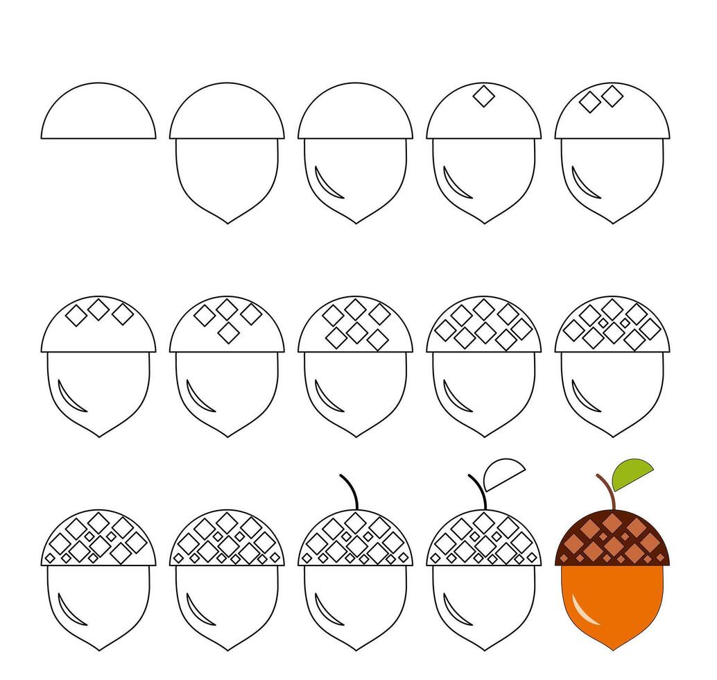 How to draw step by step Worksheet easy guide to drawing cartoon acorn. Developing kids skills for drawing and coloring. vector