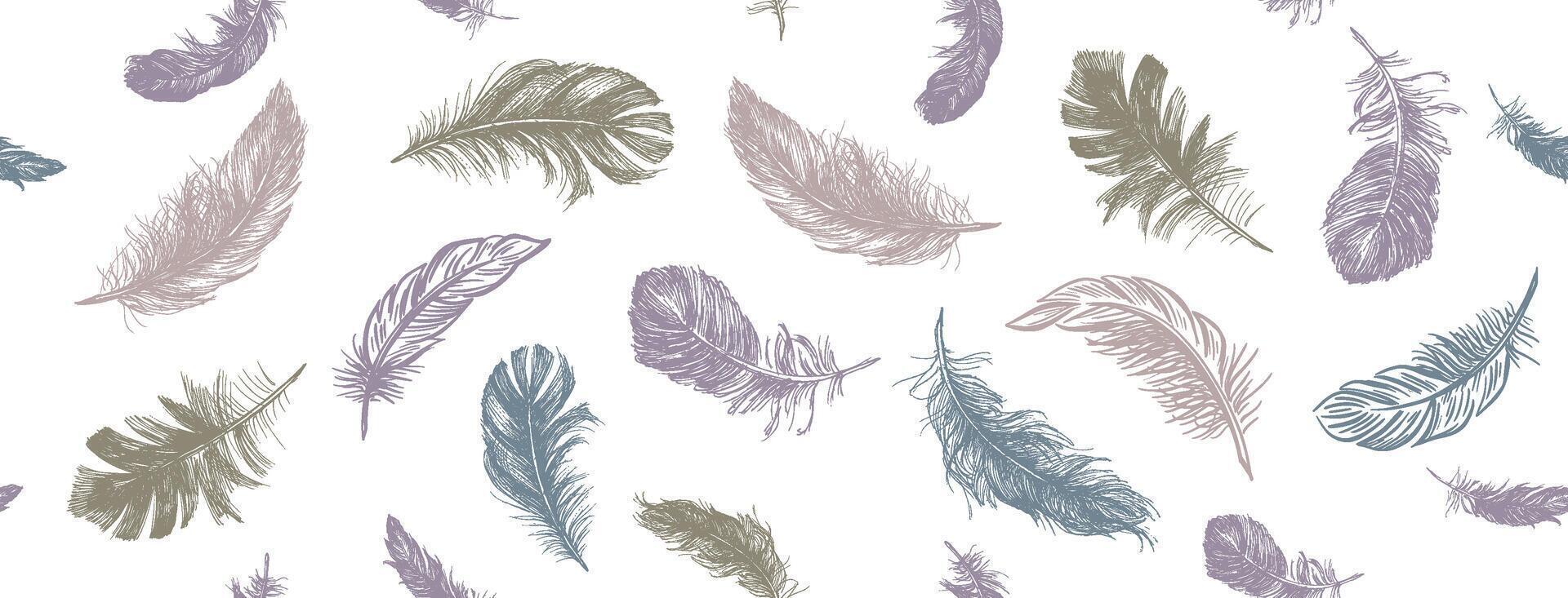 Multicolored Feather Pattern, set on white vector