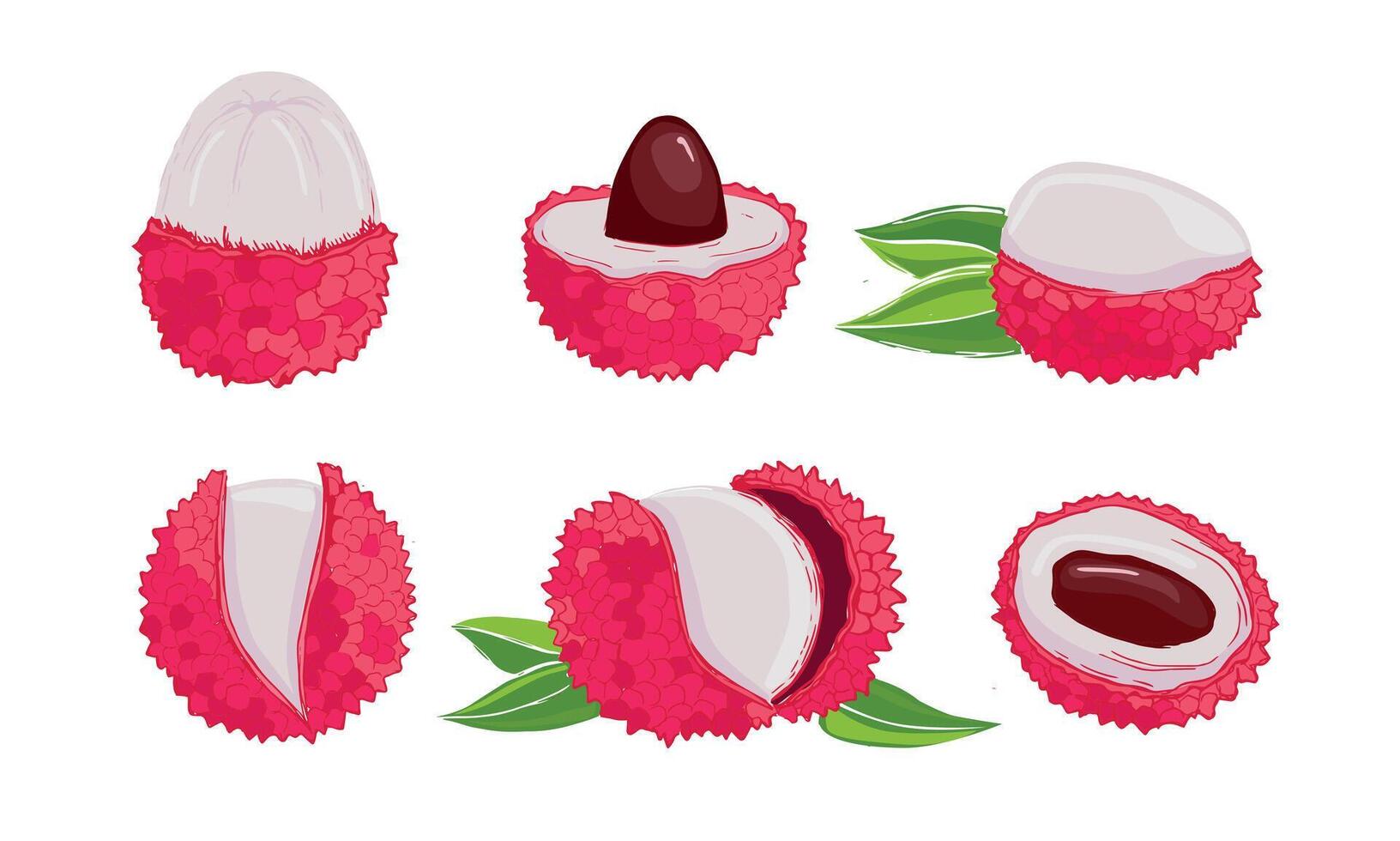 Lychee fruits set on white vector