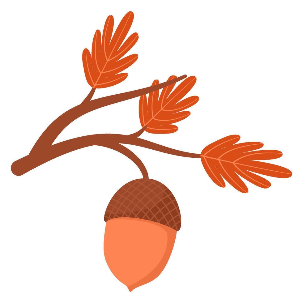 Acorn on branch with autumn leaves vector