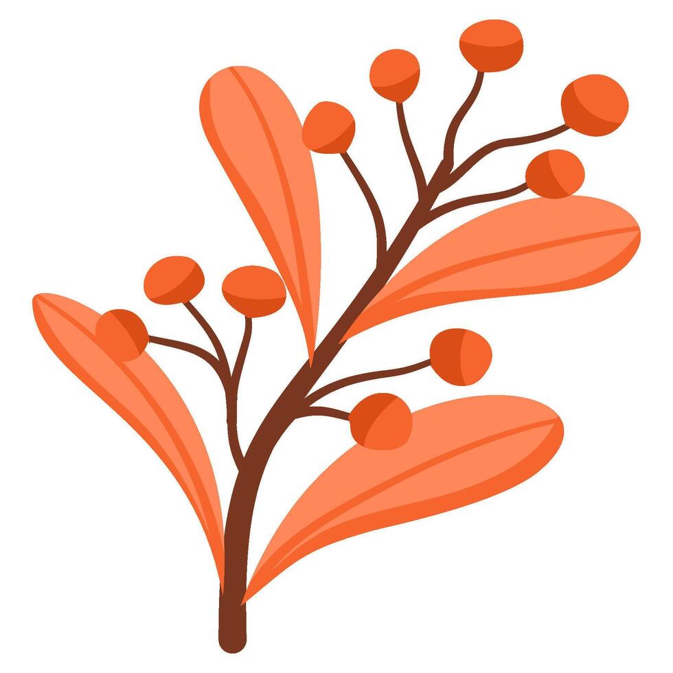 Berries and leaves on branch vector