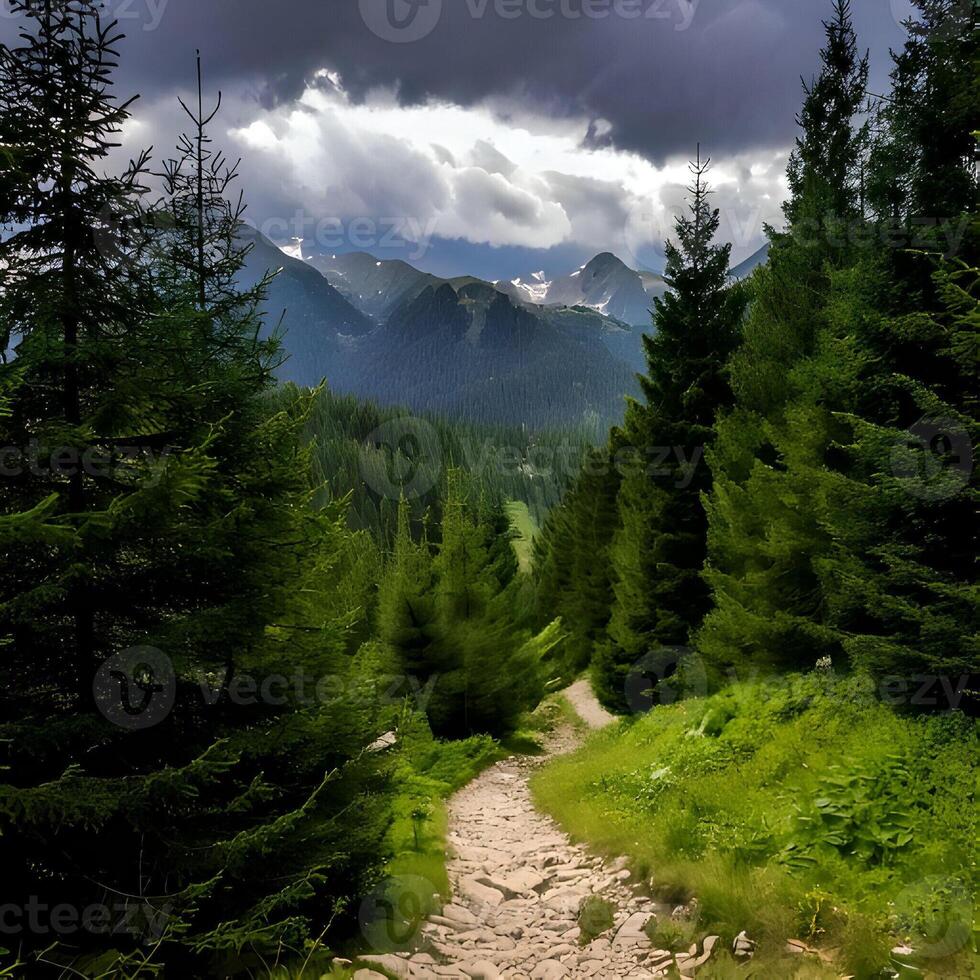Mountain Path Through Lush Green Forest Under Dramatic Sky photo