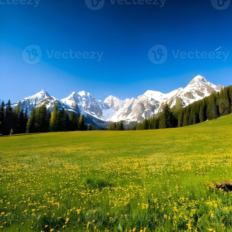 Vibrant Yellow Wildflower Meadow with Snow-Capped Mountains and Blue Sky photo