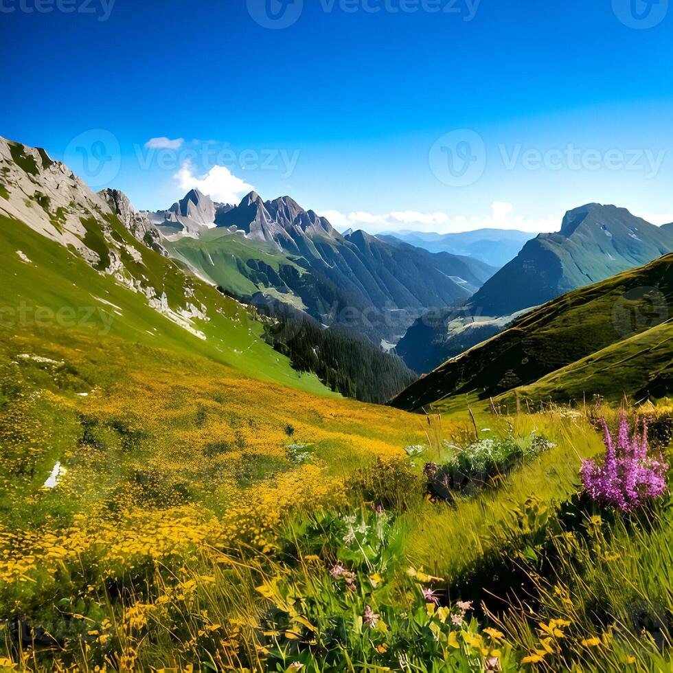 Summer Alpine Meadow Landscape with Yellow Wildflowers and Blue Sky photo