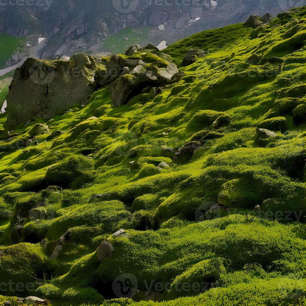 Lush Green Moss Covering Rocky Mountain Hillside photo