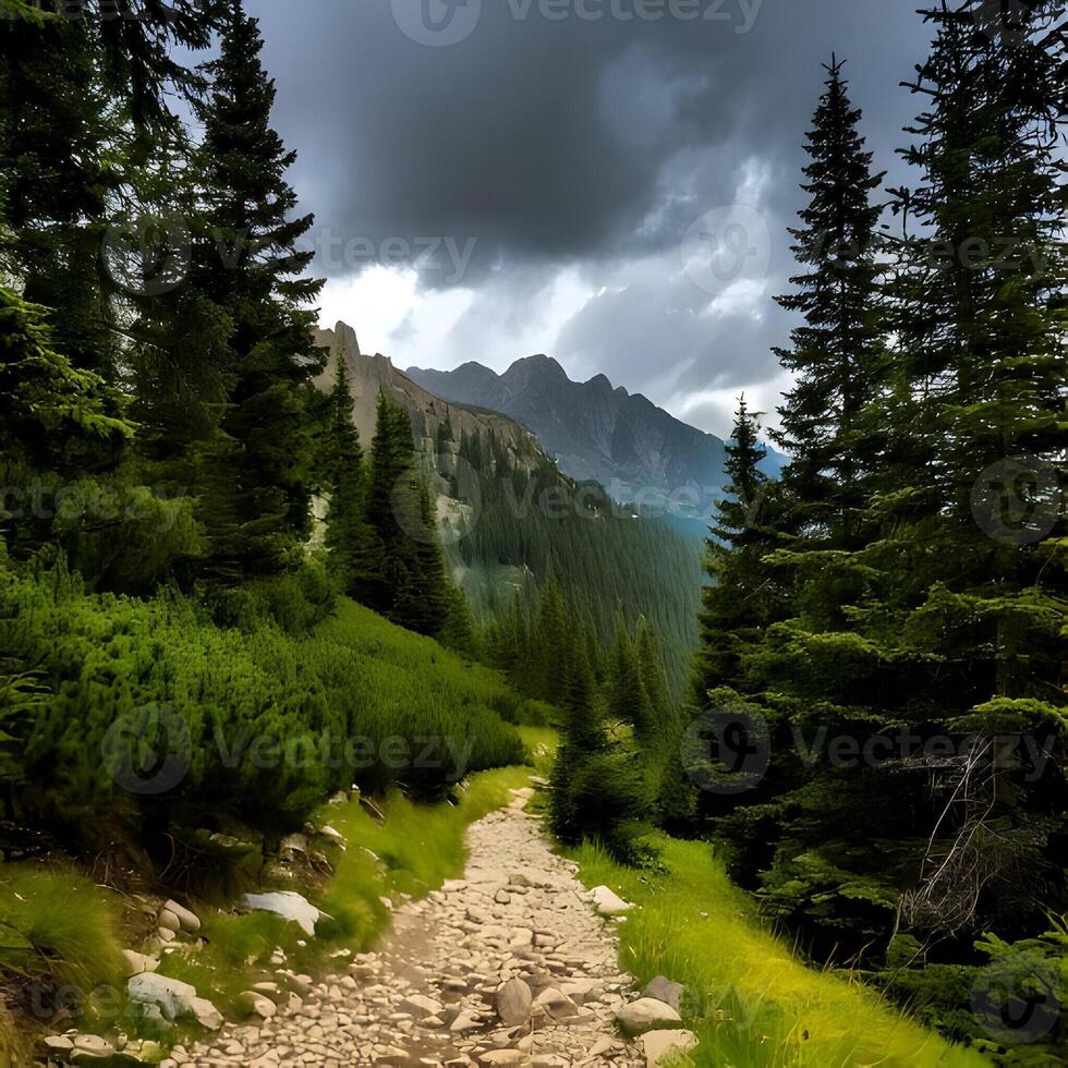 Mountain Hiking Trail Through Lush Green Forest Under a Cloudy Sky photo