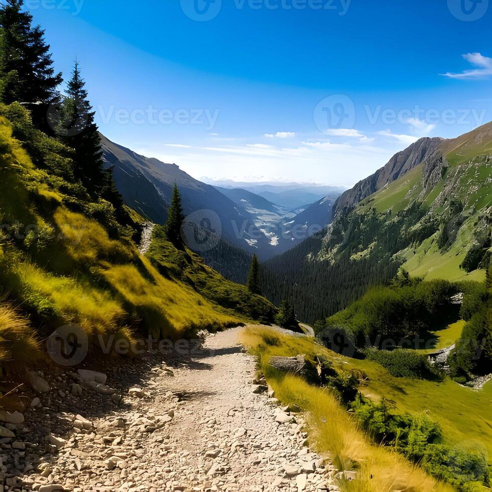 Mountain Valley Hiking Trail Scenic View photo