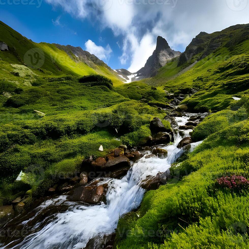 Mountain Stream Landscape Lush Green Valley Sunny Day photo