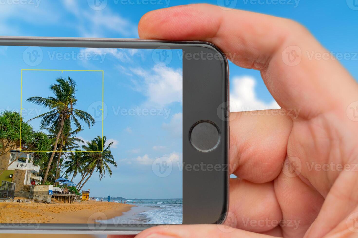 Beautiful coconut tree on background of blue tropical sky. Ocean waves on beach. Smartphone in hand. Landscape on monitor. photo