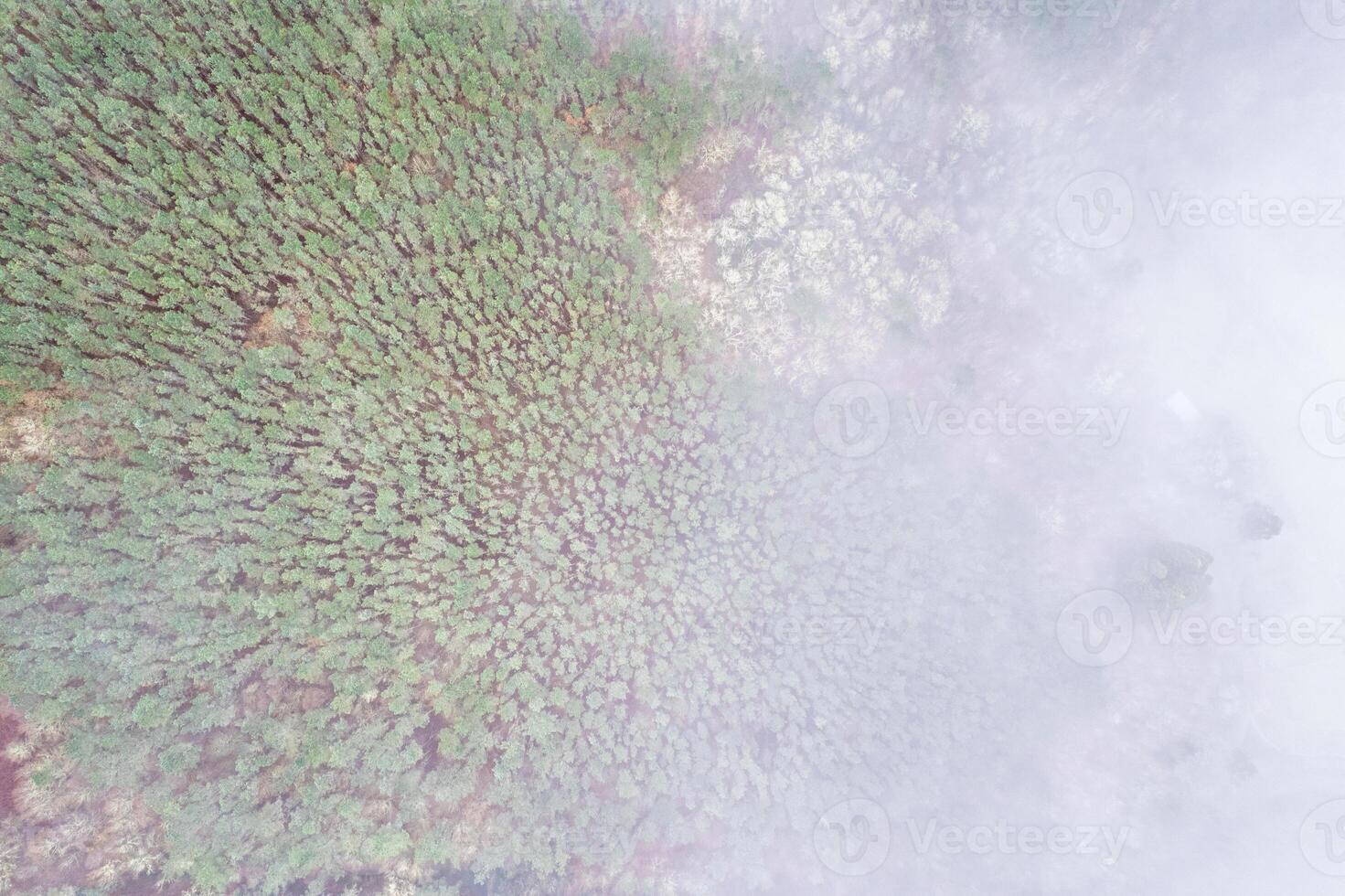 ethereal mist covering rural village and autumn forest from above, aerial drone view photo