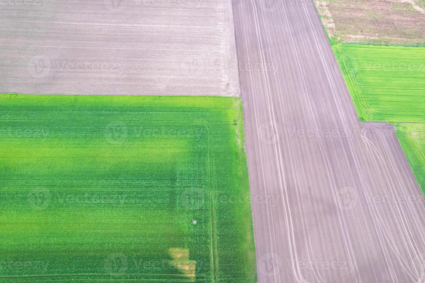 various crops and plowed earth patterns drone view, agricultural background concept photo