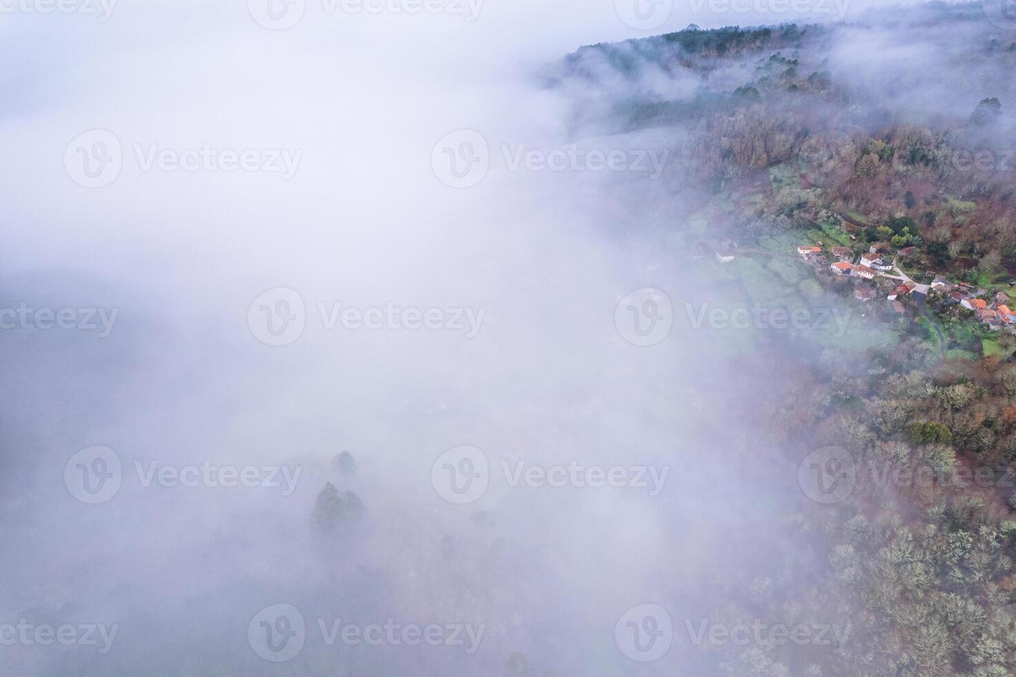 serene foggy vista revealing treetops and village roofs from drone photo