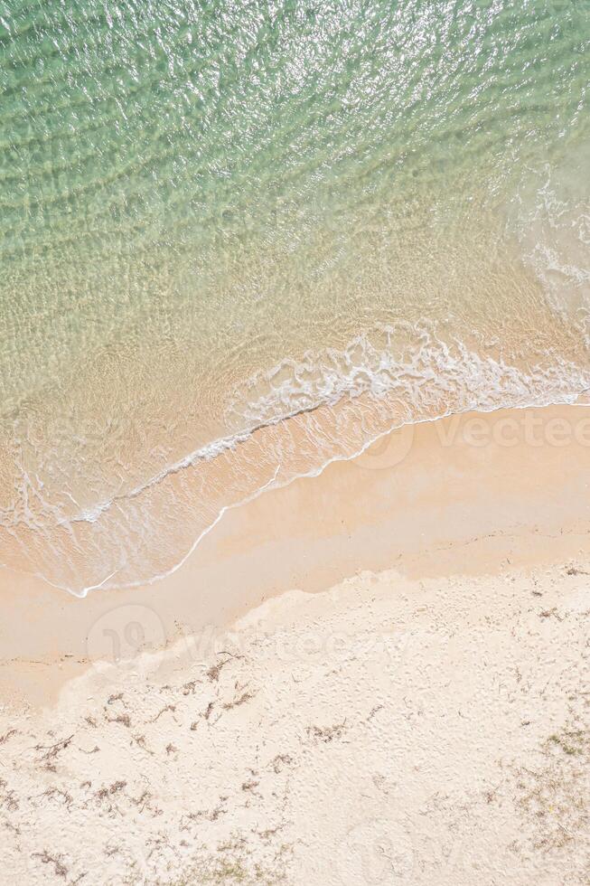 drone top down view shot capturing the serene beauty of a tropical coastline with gentle waves photo