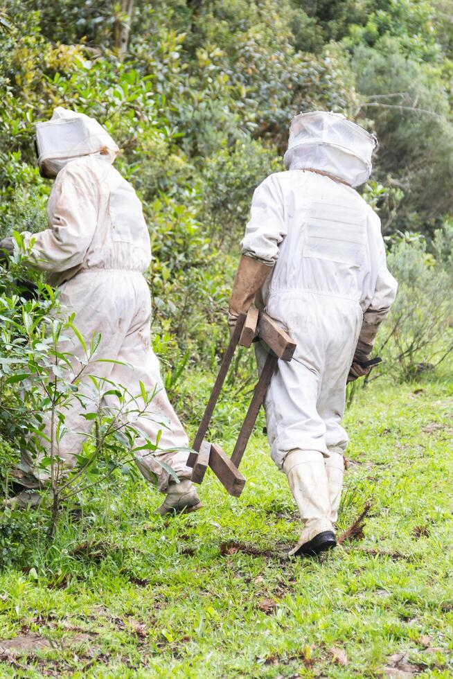 Two men in white suits photo