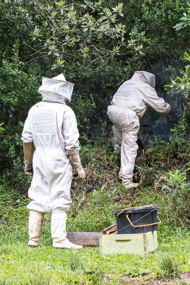 Two men in bee suits working in the woods photo
