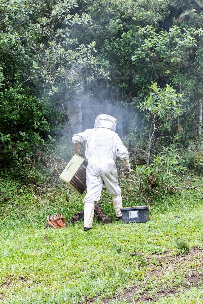 A beekeeper in a suit is working on a hive photo