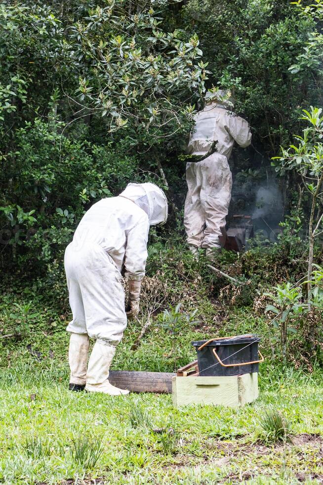 Two people in protective suits working in the woods photo
