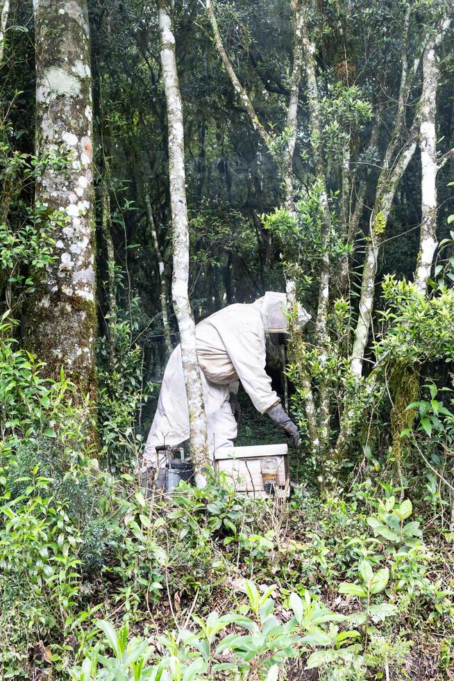A man in a white suit is working in the woods photo