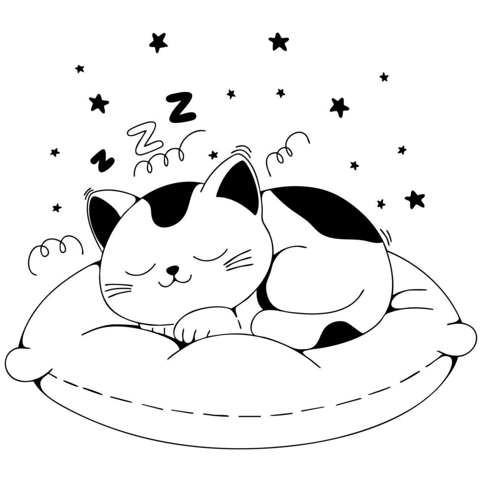 The cat sleeps on the pillow vector