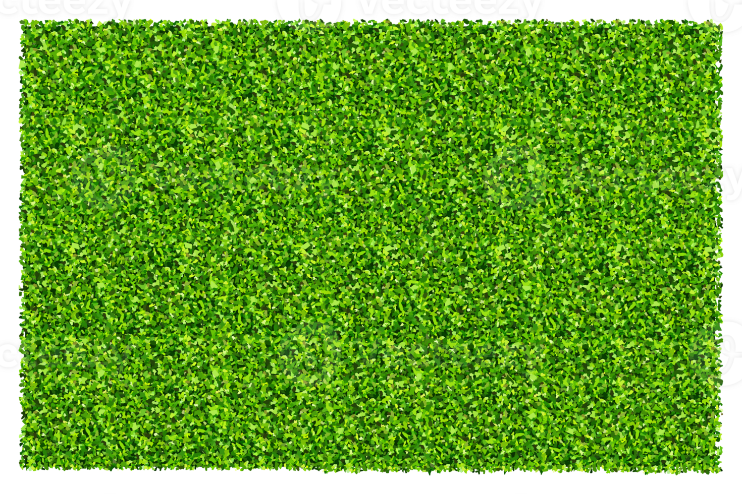 Green grass field background. Texture of green lawn grass. Green grass seamless pattern and texture. png