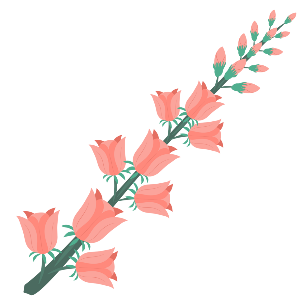 beauty flower bouquet in red tone png