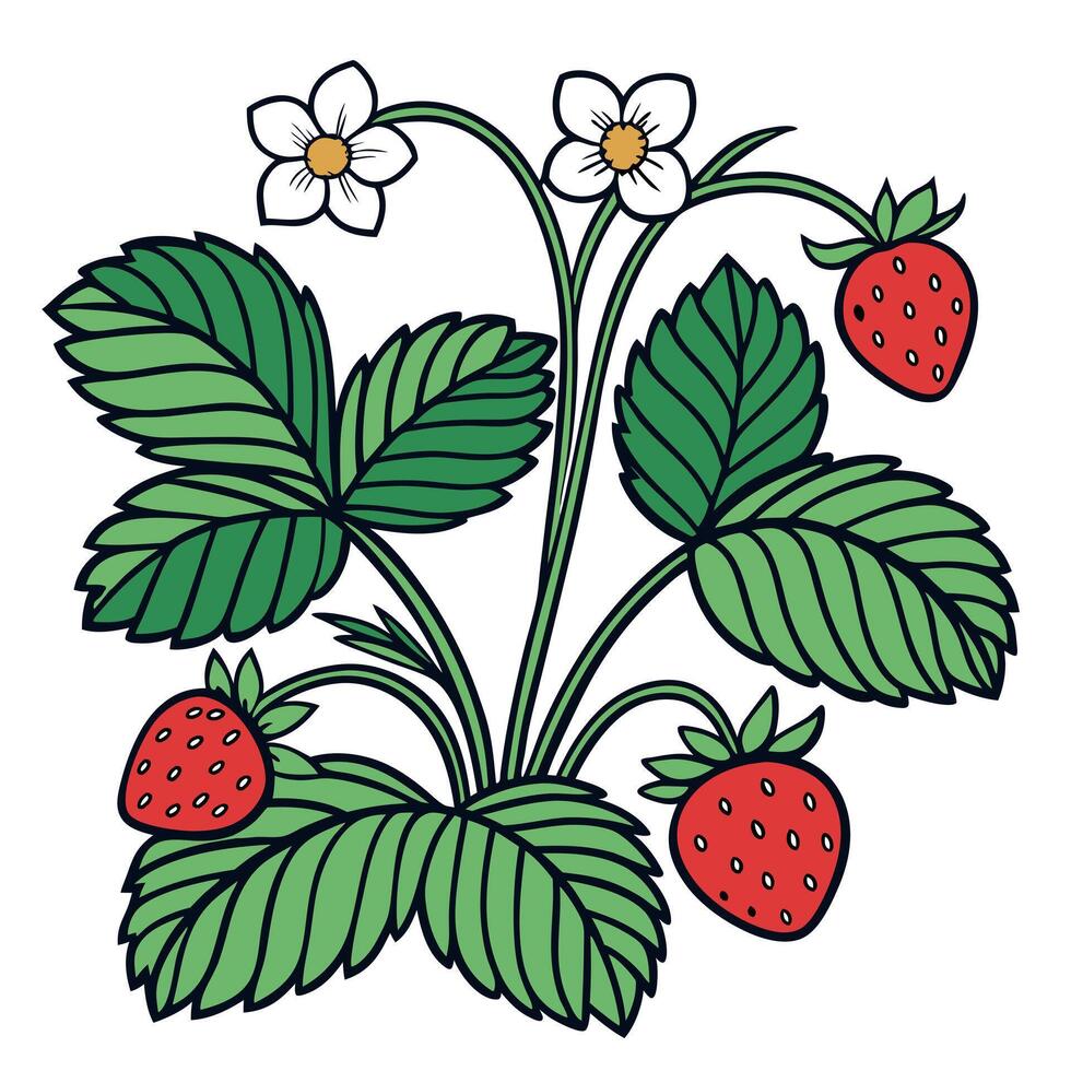 Strawberry illustration illustration vector
