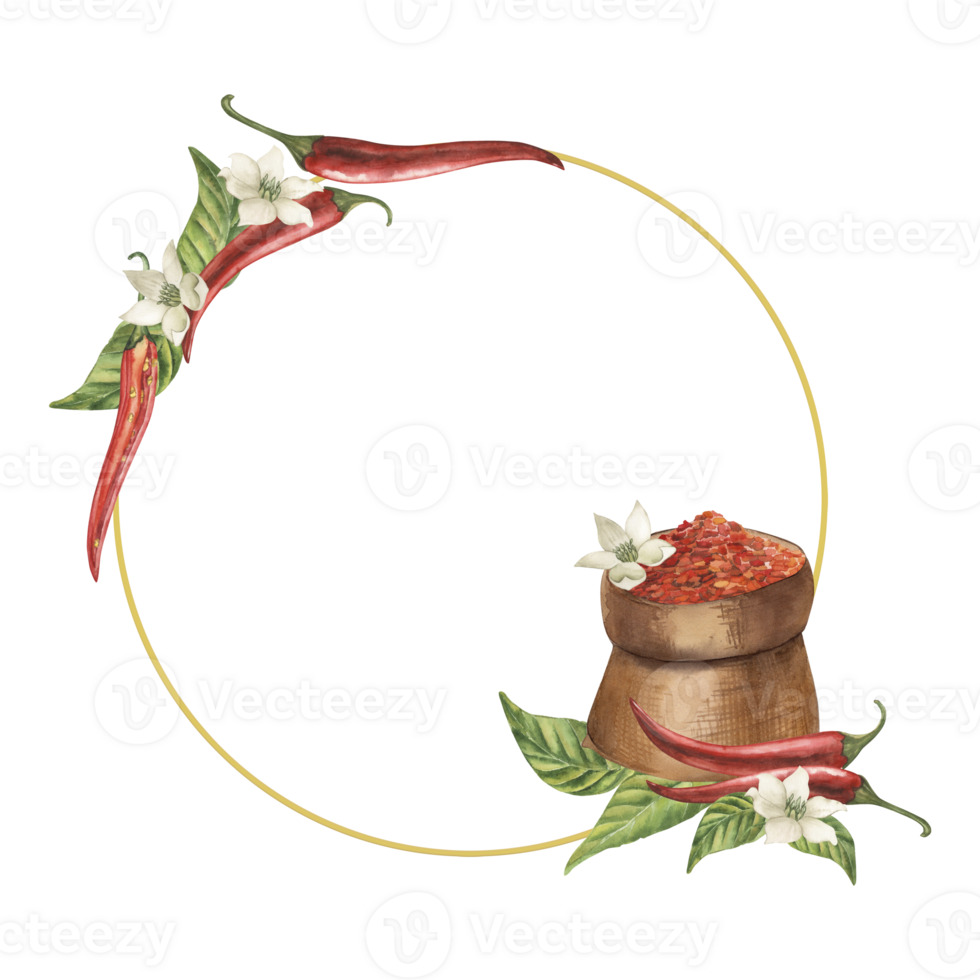 A round frame with red chili pepper, green leaves, white, a bag full of ground pepper. The watercolor illustration is drawn manually, for a label of hot food, a recipe for cooking, a spicy kitchen png